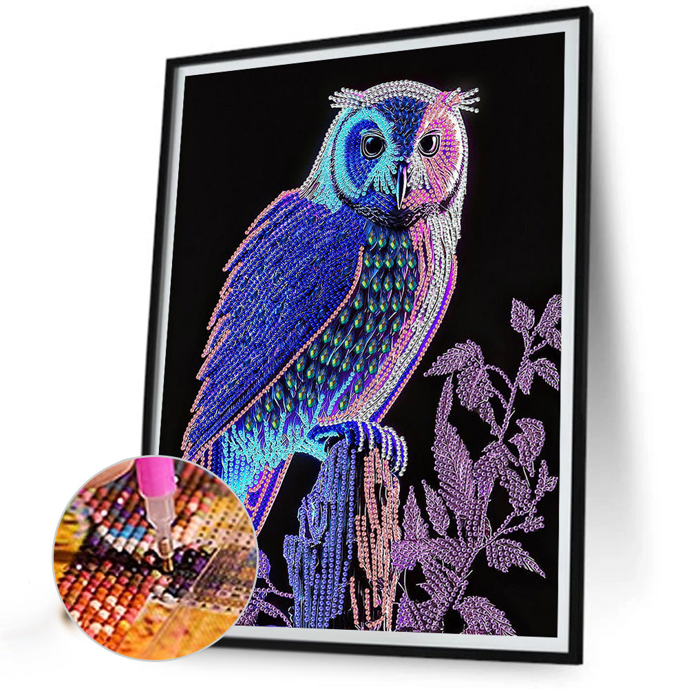 Owl - Special Shaped Drill Diamond Painting 30*40CM