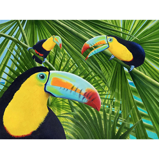 Toucan - Full Round Drill Diamond Painting 40*30CM