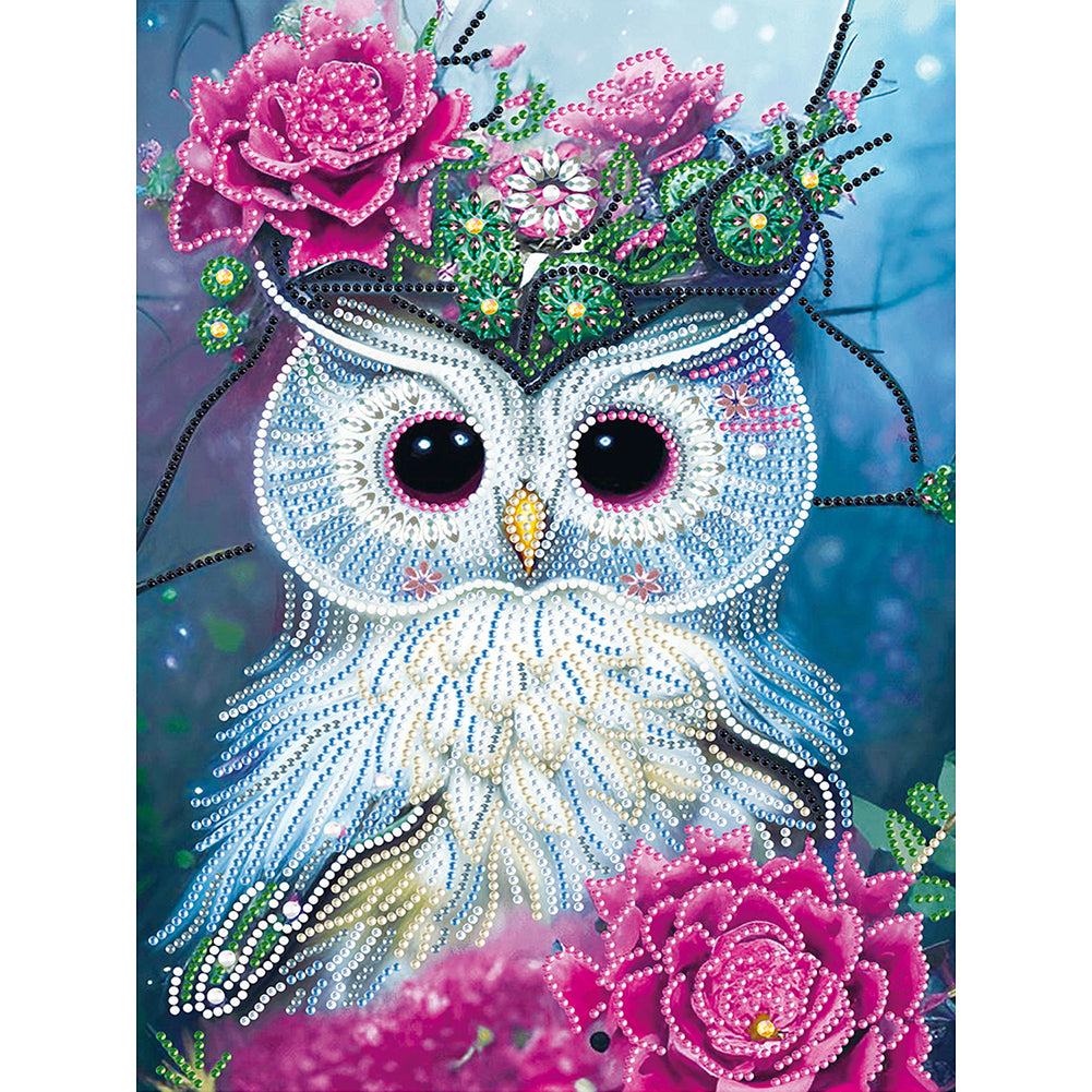 Owl - Special Shaped Drill Diamond Painting 30*40CM