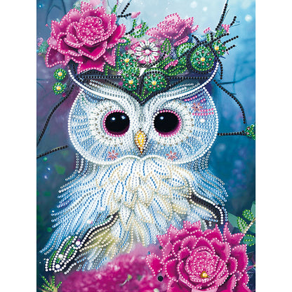 Owl - Special Shaped Drill Diamond Painting 30*40CM
