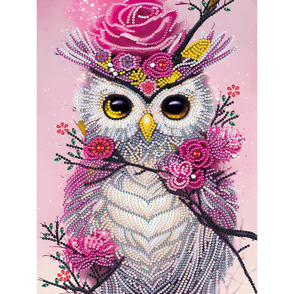 Owl - Special Shaped Drill Diamond Painting 30*40CM