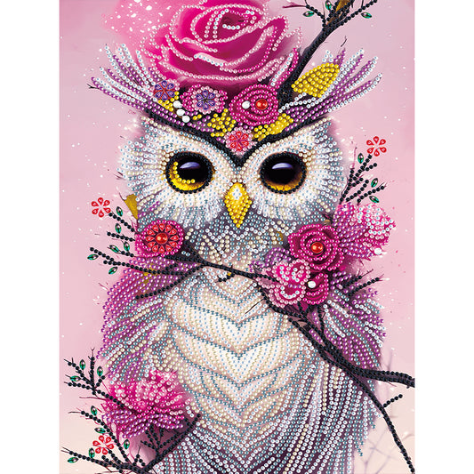 Owl - Special Shaped Drill Diamond Painting 30*40CM