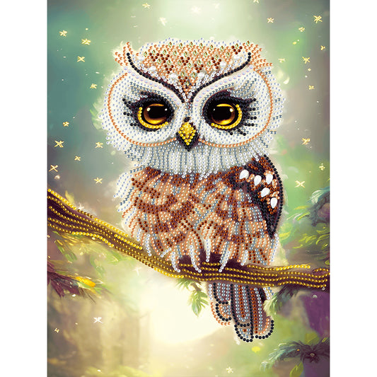 Owl - Special Shaped Drill Diamond Painting 30*40CM