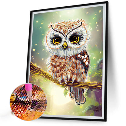 Owl - Special Shaped Drill Diamond Painting 30*40CM
