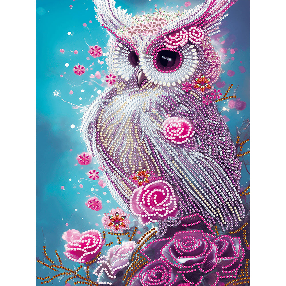 Owl - Special Shaped Drill Diamond Painting 30*40CM