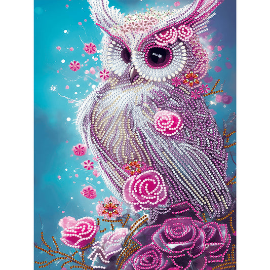 Owl - Special Shaped Drill Diamond Painting 30*40CM