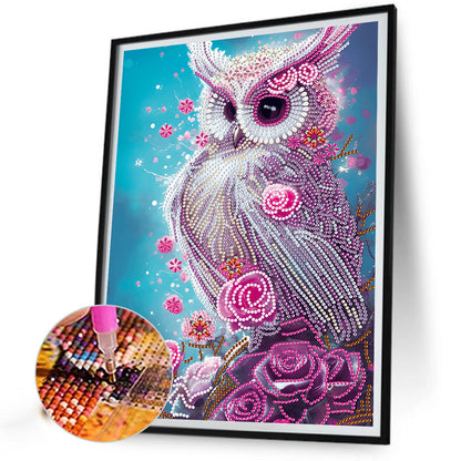 Owl - Special Shaped Drill Diamond Painting 30*40CM