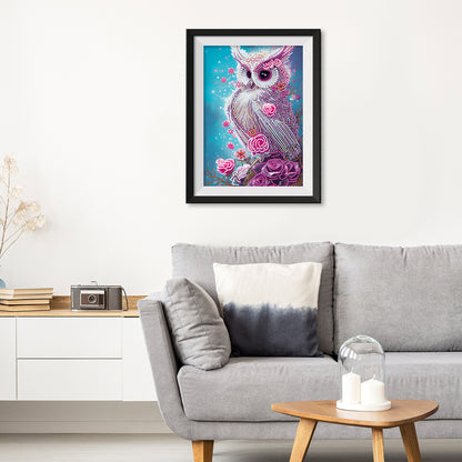 Owl - Special Shaped Drill Diamond Painting 30*40CM