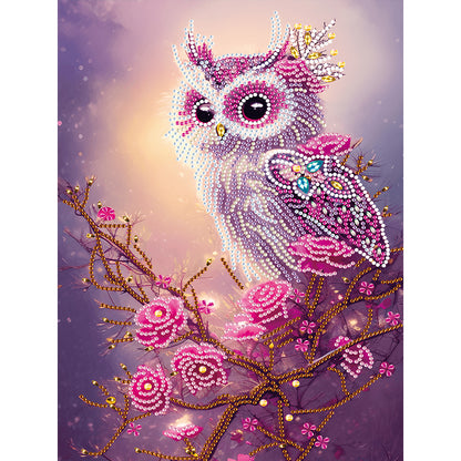 Owl - Special Shaped Drill Diamond Painting 30*40CM