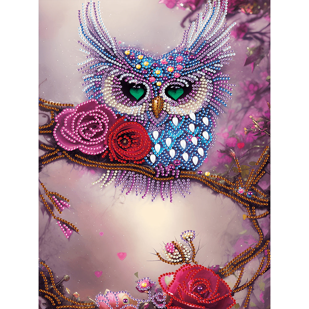 Owl - Special Shaped Drill Diamond Painting 30*40CM