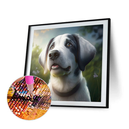 White Dog - Full Round Drill Diamond Painting 30*30CM
