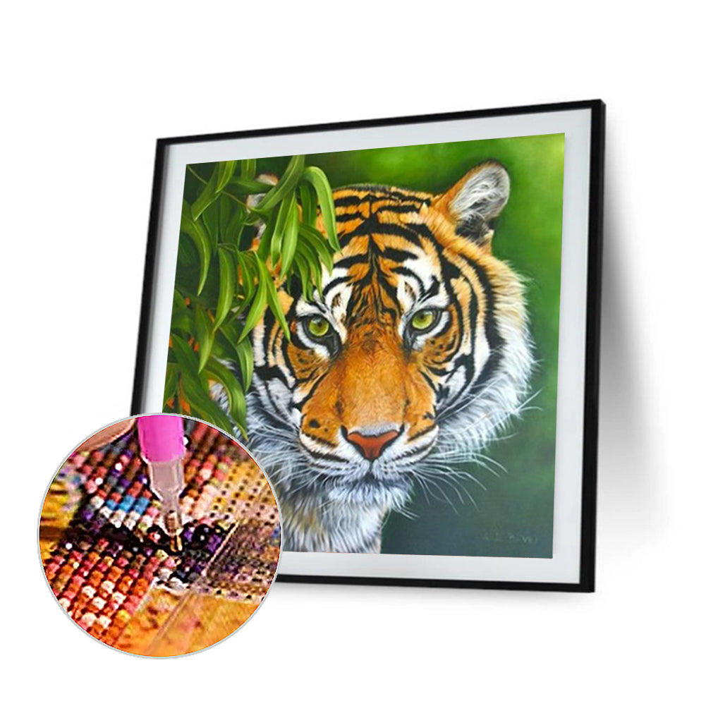 Tiger - Full Round Drill Diamond Painting 30*30CM