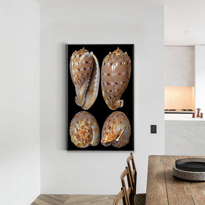 Beach Shells - Full Round Drill Diamond Painting 30*45CM