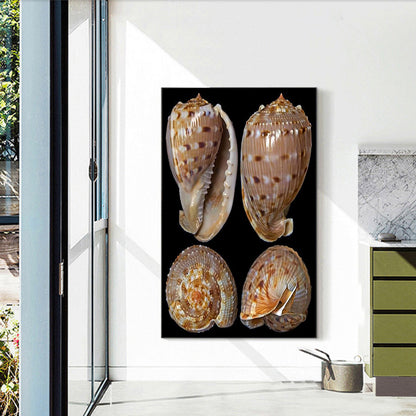 Beach Shells - Full Round Drill Diamond Painting 30*45CM