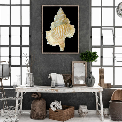 Beach Shells - Full Round Drill Diamond Painting 30*40CM
