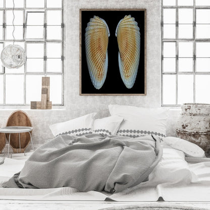 Beach Shells - Full Round Drill Diamond Painting 30*40CM