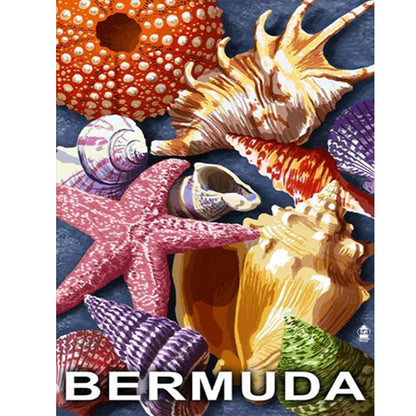 Beach Shells - Full Round Drill Diamond Painting 30*40CM