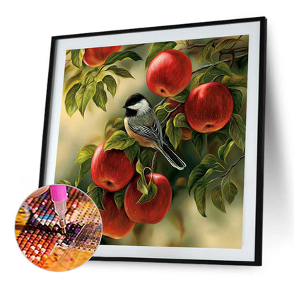 Bird On Apple Tree - Full Round Drill Diamond Painting 30*30CM