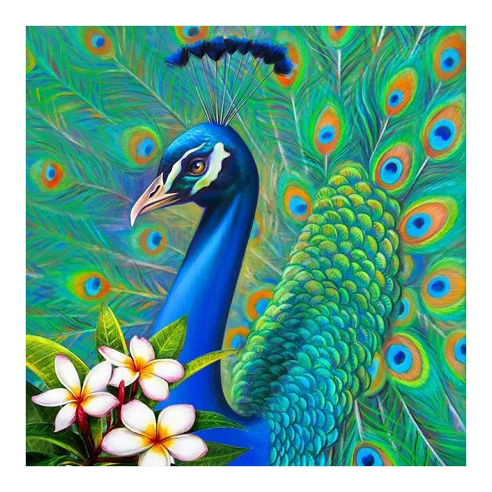 Peacock - Full Round Drill Diamond Painting 30*30CM