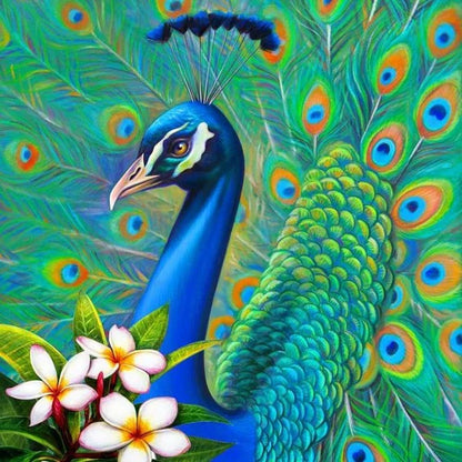 Peacock - Full Round Drill Diamond Painting 30*30CM