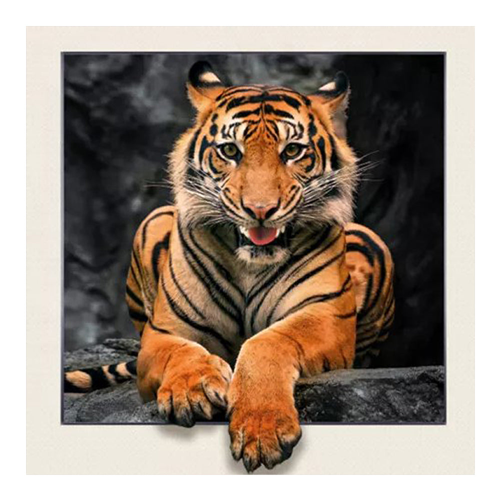 3D Tiger - Full Round Drill Diamond Painting 30*30CM