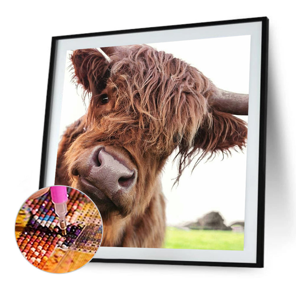 Yak - Full Round Drill Diamond Painting 30*30CM