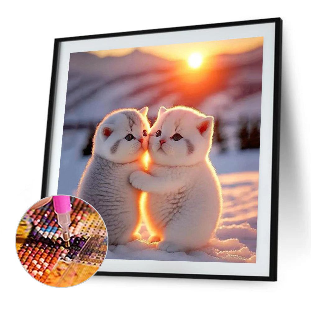 Soft Cute Cat - Full Round Drill Diamond Painting 30*30CM