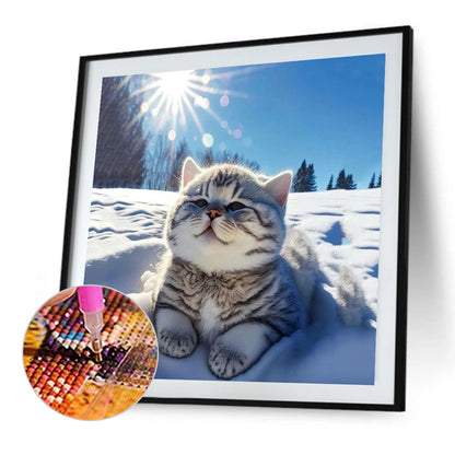 Soft Cute Cat - Full Round Drill Diamond Painting 30*30CM