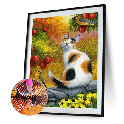 The Cat 30*40Ccm(canvas) full round drill diamond painting