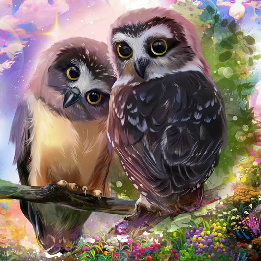 Two Owls 30*30Ccm(canvas) full round drill diamond painting