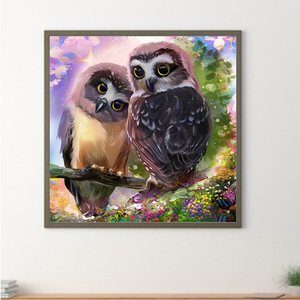 Two Owls 30*30Ccm(canvas) full round drill diamond painting