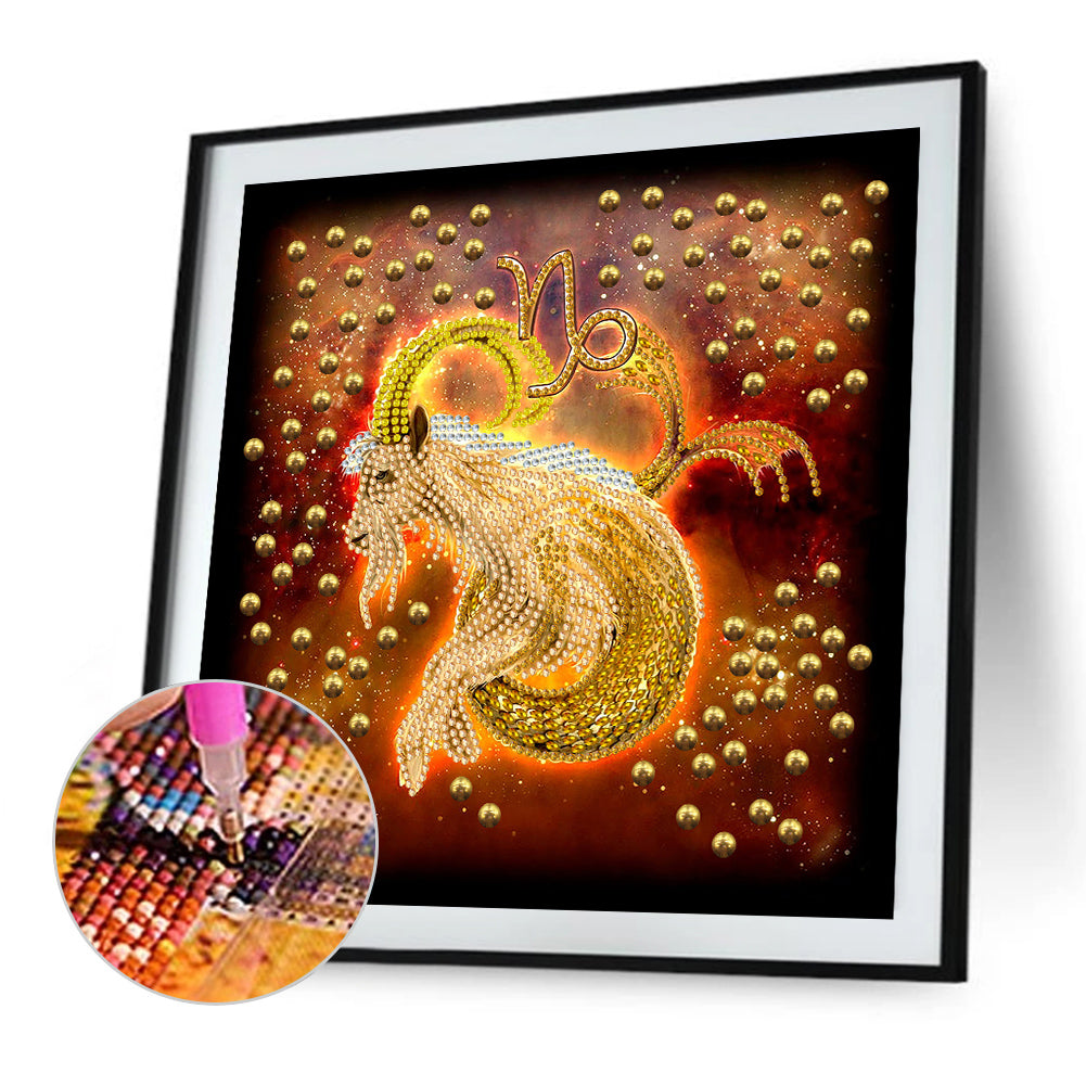 Twelve Constellations - Special Shaped Drill Diamond Painting 30*30CM