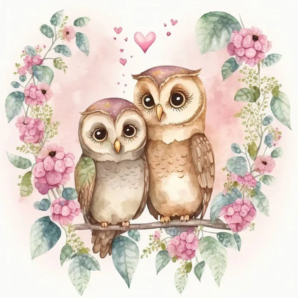 Owl 30*30Ccm(canvas) full round drill diamond painting