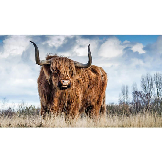 Highland Yak - Full Round Drill Diamond Painting 70*40CM