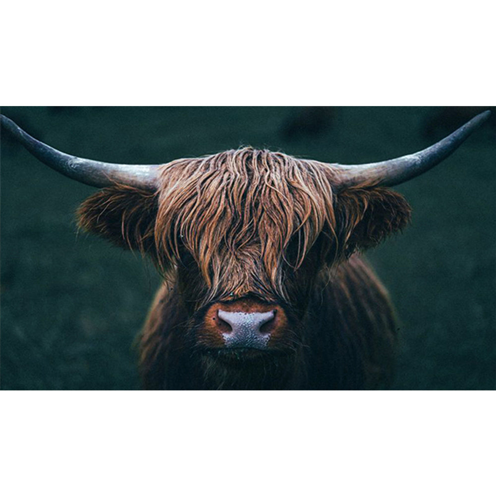 Highland Yak - Full Round Drill Diamond Painting 70*45CM