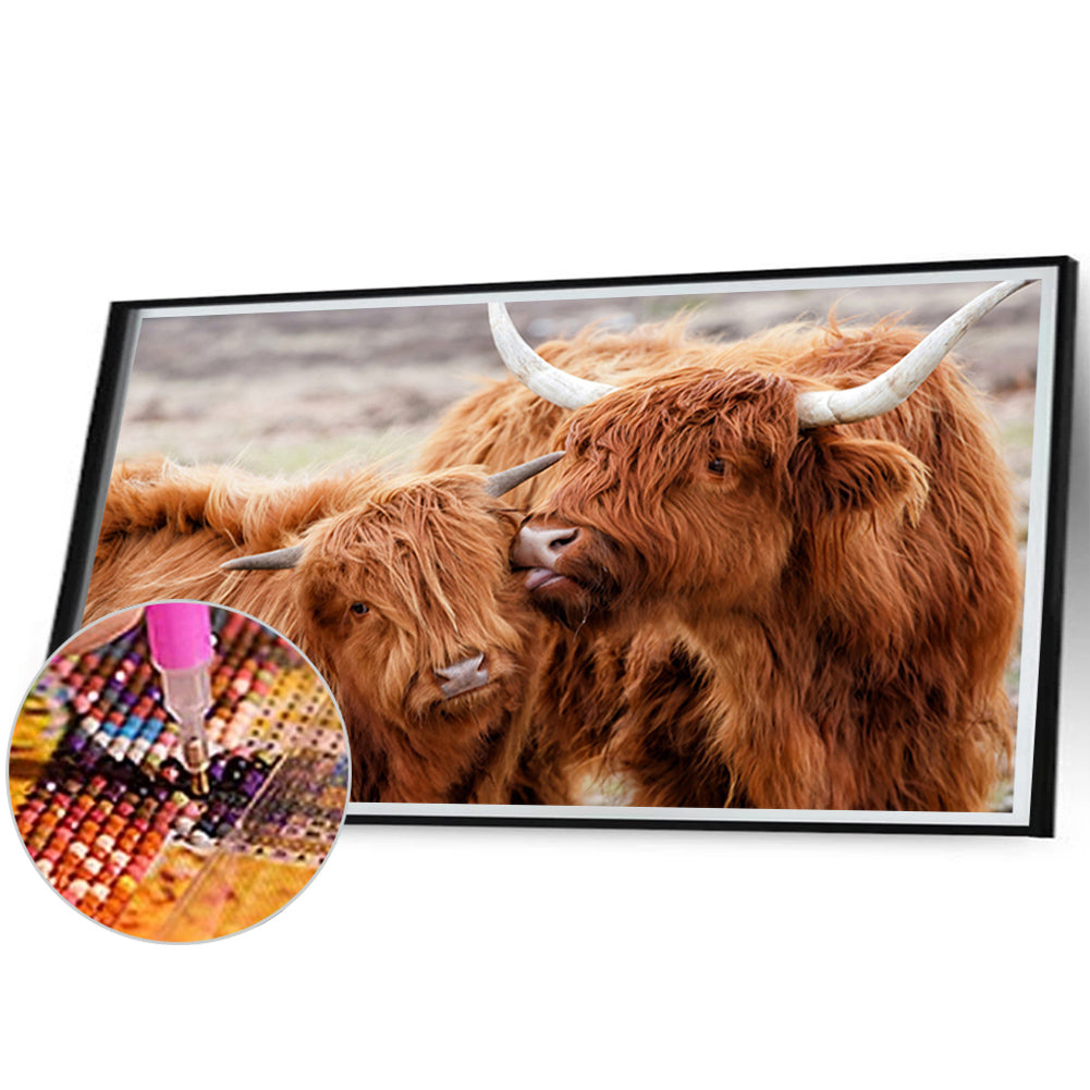 Highland Yak - Full Square Drill Diamond Painting 70*45CM