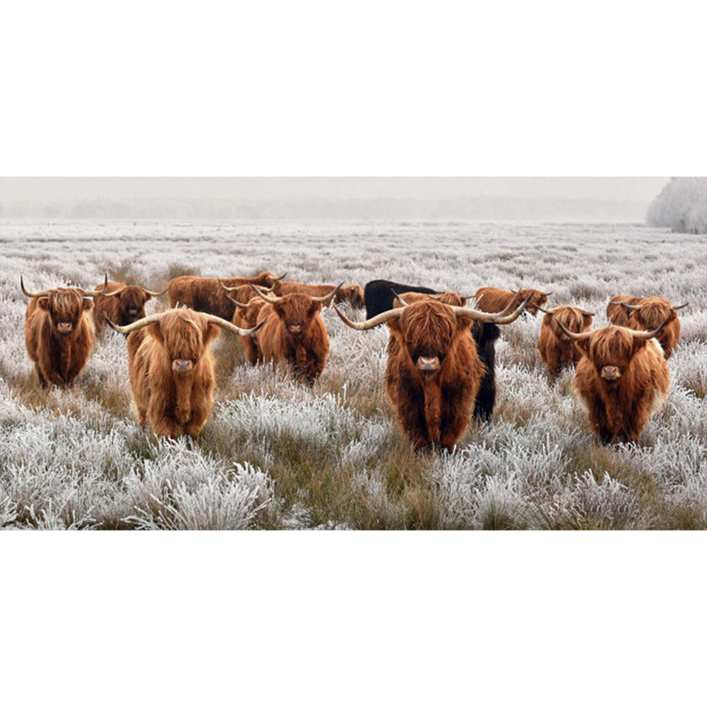 Highland Yak - Full Square Drill Diamond Painting 80*40CM