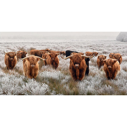 Highland Yak - Full Square Drill Diamond Painting 80*40CM