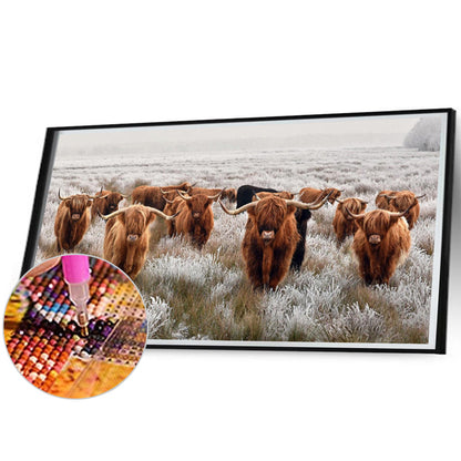 Highland Yak - Full Square Drill Diamond Painting 80*40CM