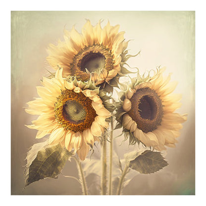 Sunflower - Full Round Drill Diamond Painting 50*50CM