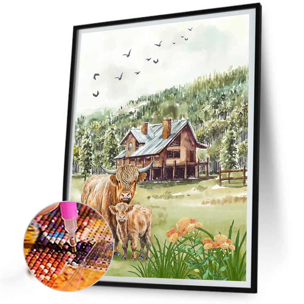 Highland Cattle - Full Round Drill Diamond Painting 30*40CM