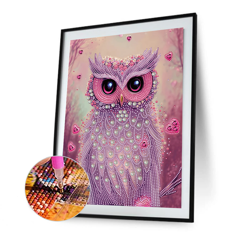 Personality Owl - Special Shaped Drill Diamond Painting 30*40CM