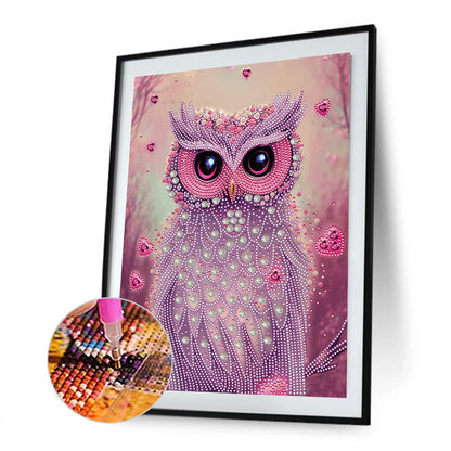 Personality Owl - Special Shaped Drill Diamond Painting 30*40CM