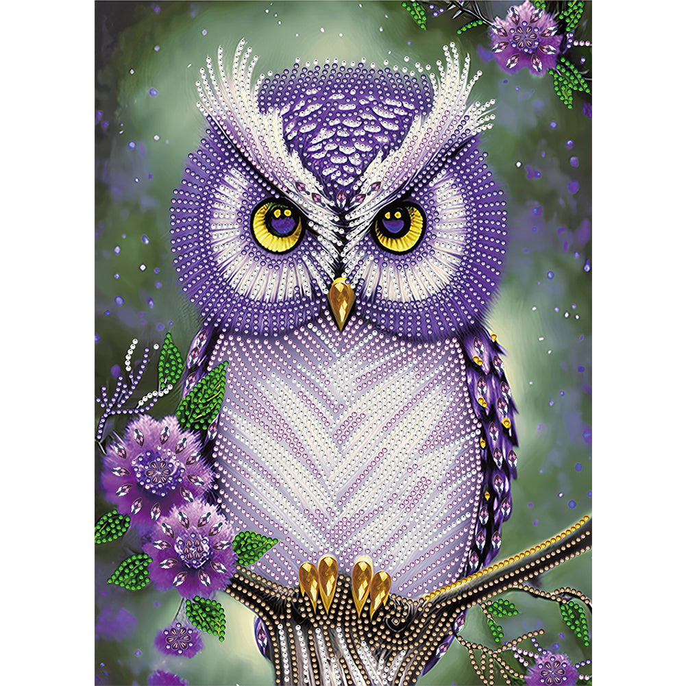 Personality Owl - Special Shaped Drill Diamond Painting 30*40CM