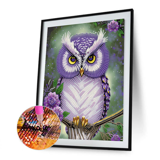 Personality Owl - Special Shaped Drill Diamond Painting 30*40CM