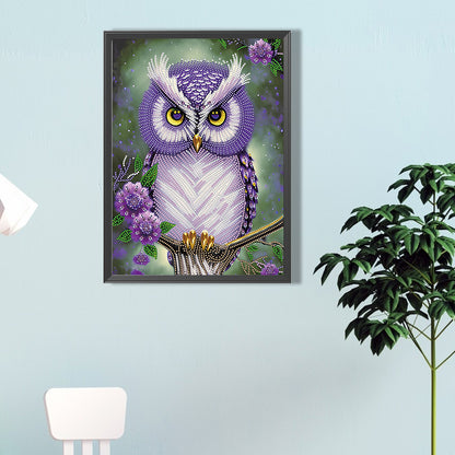Personality Owl - Special Shaped Drill Diamond Painting 30*40CM