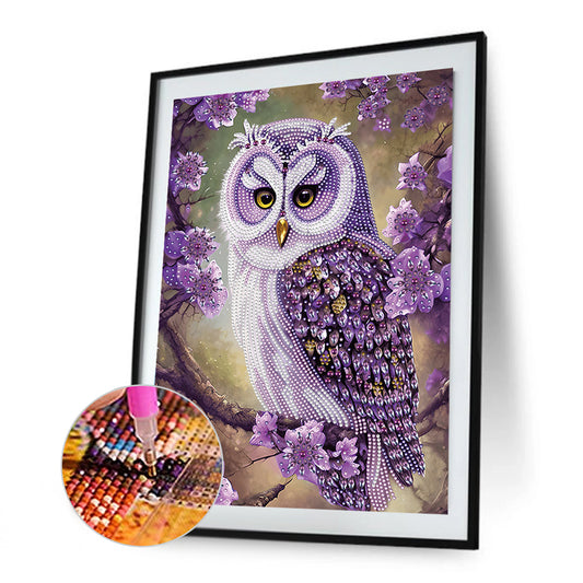 Personality Owl - Special Shaped Drill Diamond Painting 30*40CM