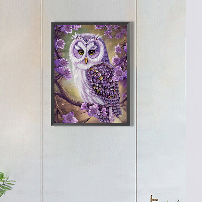 Personality Owl - Special Shaped Drill Diamond Painting 30*40CM