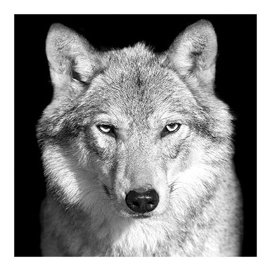 White Wolf - Full Round Drill Diamond Painting 45*45CM