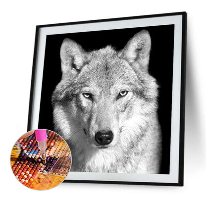 White Wolf - Full Round Drill Diamond Painting 45*45CM